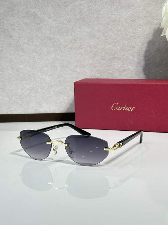 Picture of Cartier Sunglasses _SKUfw77816951fw